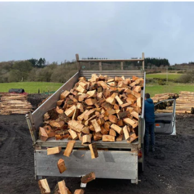 Logs for sale in Mold