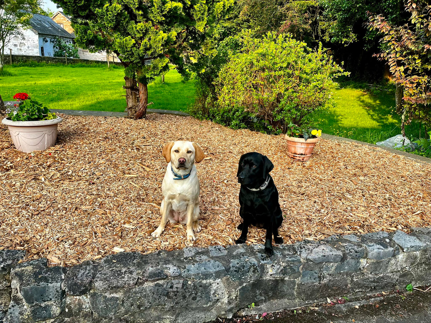 Garden Woodchip