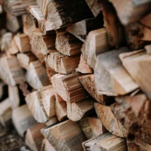 Softwood Logs